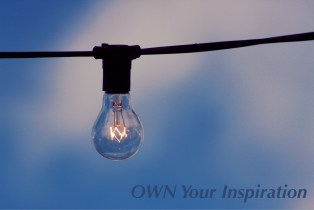OWN Your Inspiration